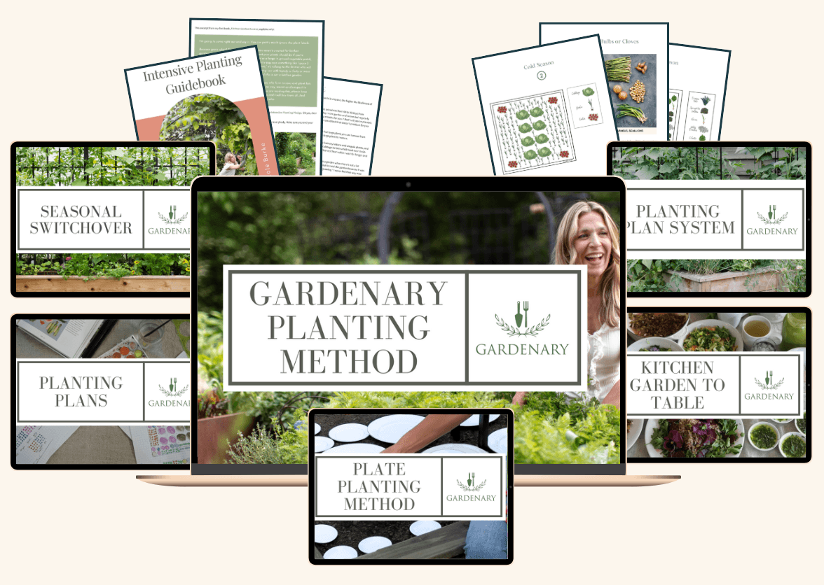 Maximize Your Soil with the Gardenary Planting Method!